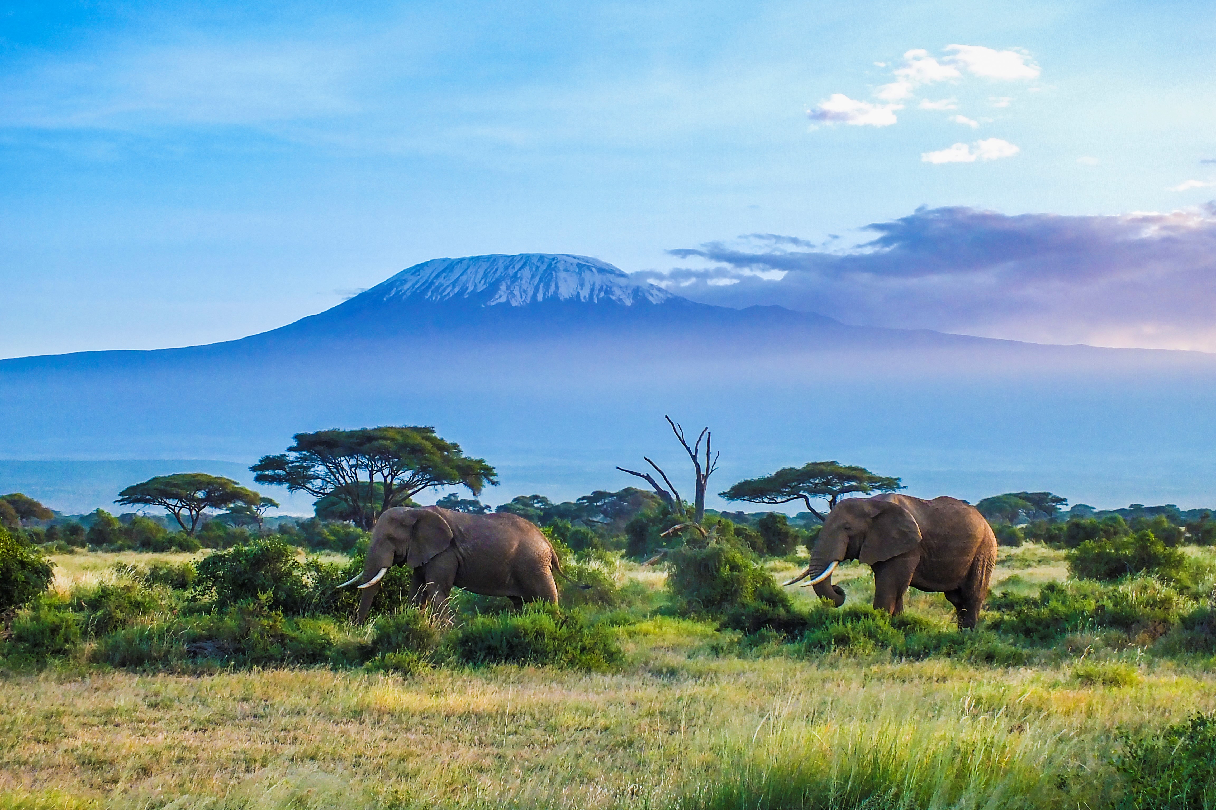 Africa: natural areas and climate 25 Africa: natural areas and climate 95